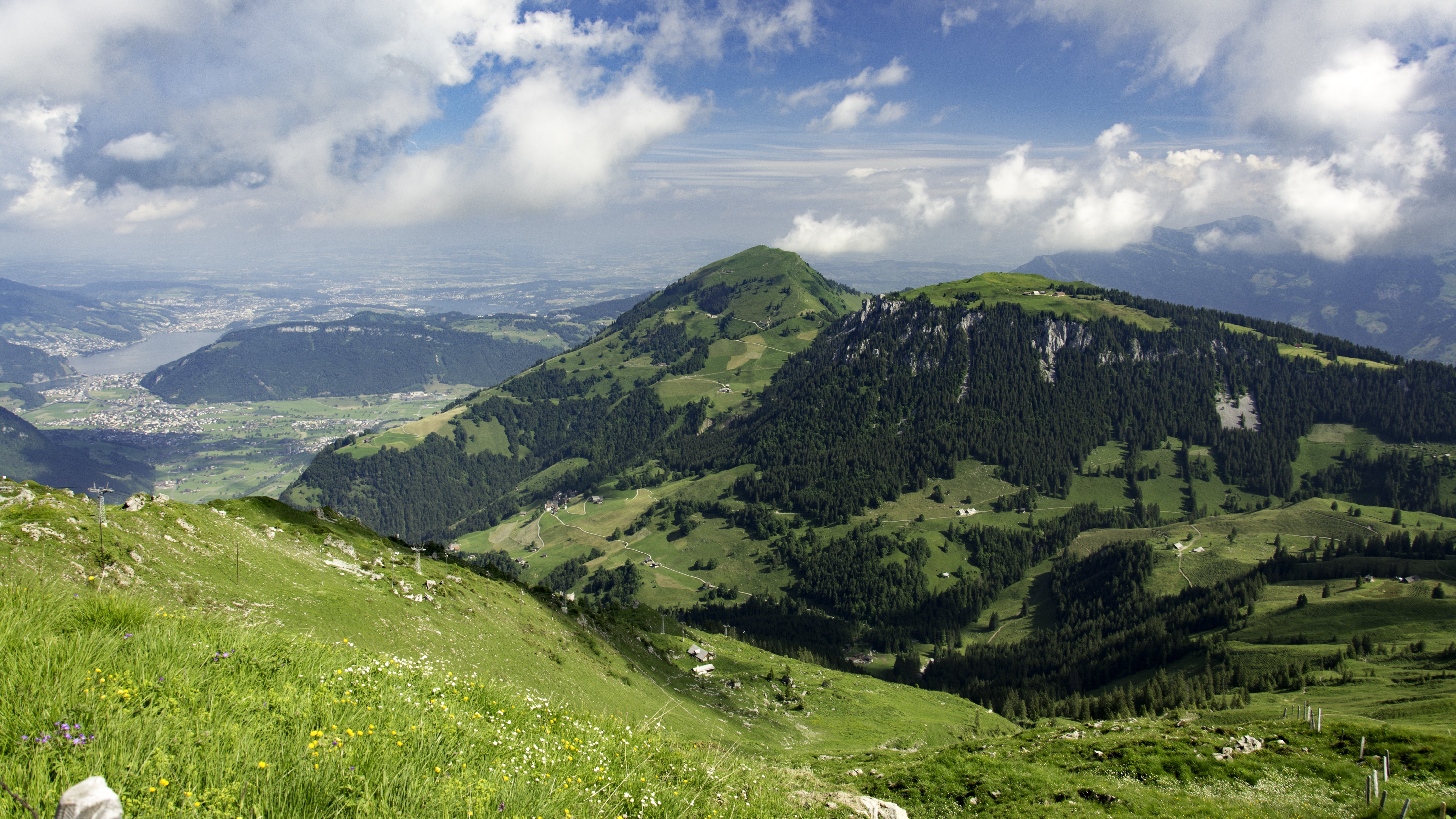 Alpweiden und Bergwald an Musenalp und Buochserhorn in Nidwalden
