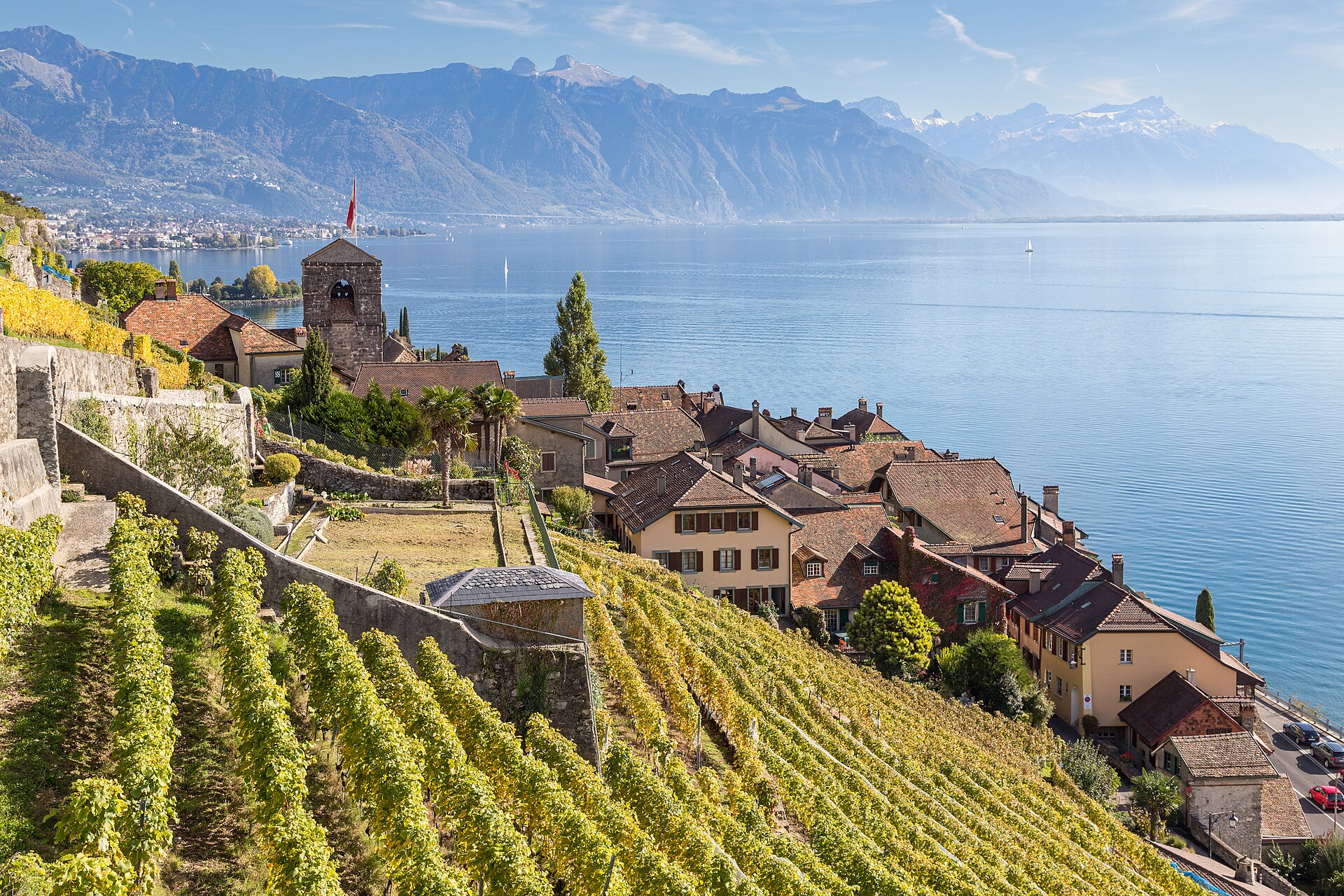 Weinberge, Waadtländer Alpen und Genfersee im Kanton Waadt