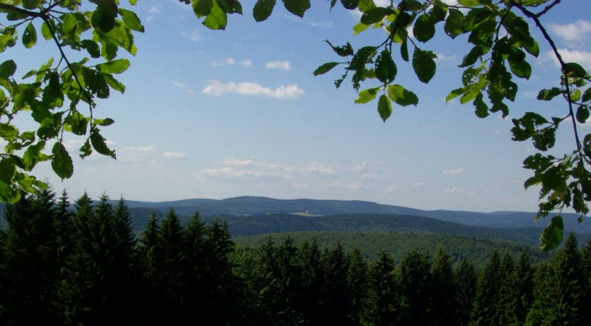 Adlersberg und Neuhäuser Hügel im Thüringer Wald