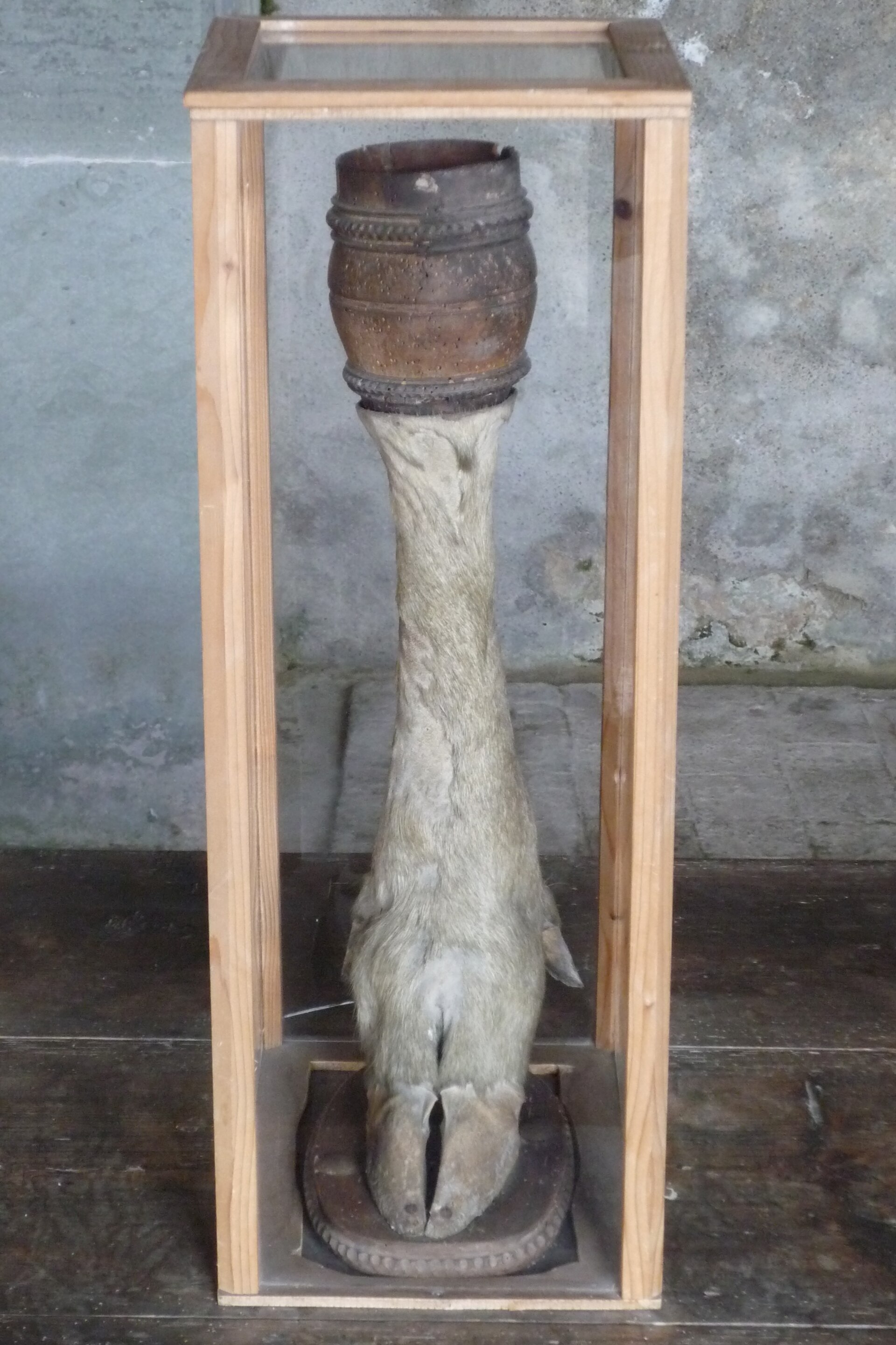 Trinkgefäß in Form eines Elchfußes in der Burg Meersburg