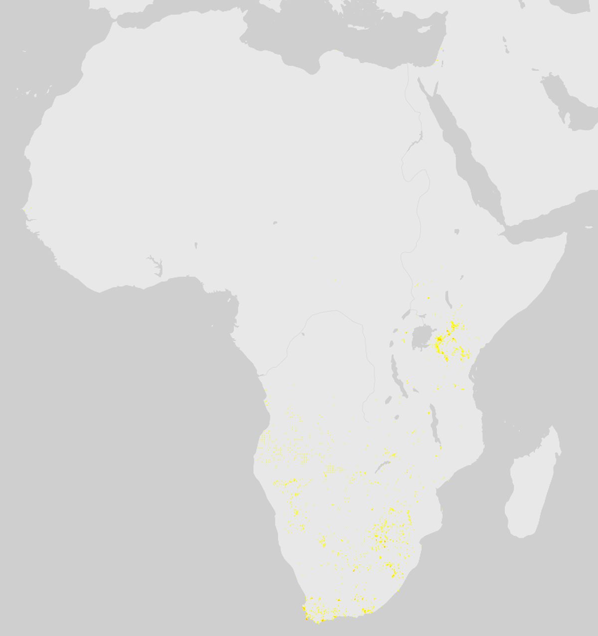 GBIF-Nachweise von Elenantilope (Taurotragus oryx) in Afrika. Gelbe bis rote Punkte: Dichte wissenschaftlicher Beobachtungen.