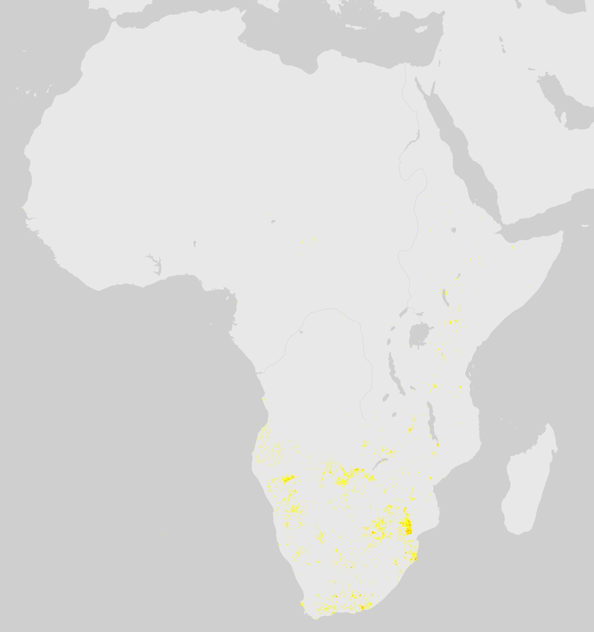GBIF-Nachweise von Großer Kudu (Tragelaphus strepsiceros) in Afrika. Gelbe bis rote Punkte: Dichte wissenschaftlicher Beobachtungen.