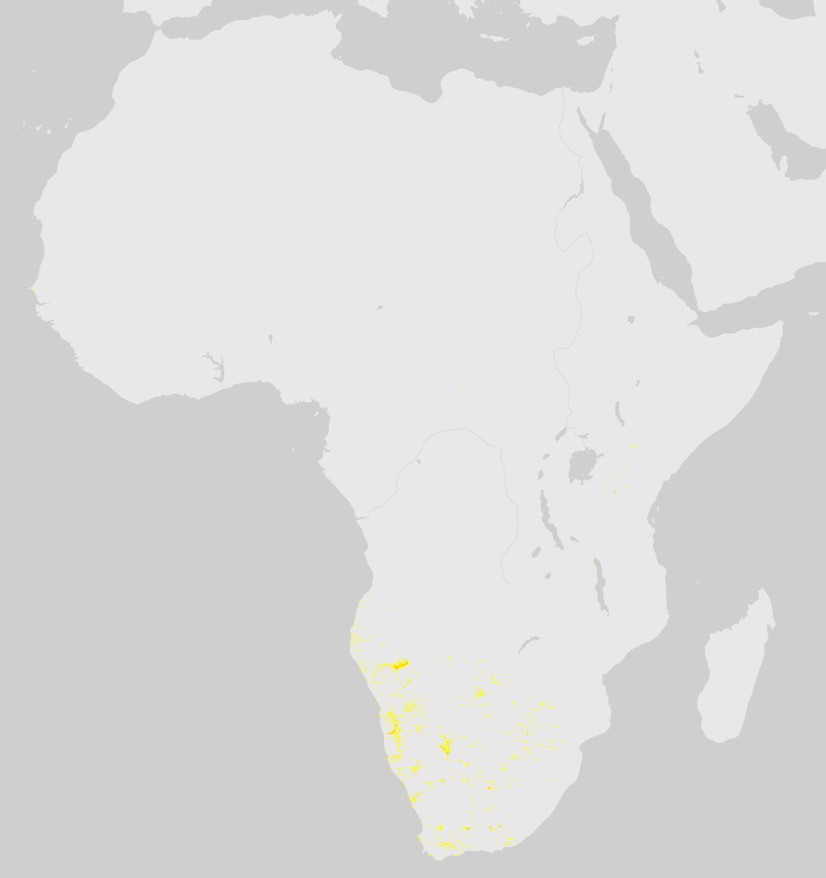 GBIF-Nachweise von Spießbock (Oryx) (Oryx gazella) in Afrika. Gelbe bis rote Punkte: Dichte wissenschaftlicher Beobachtungen.