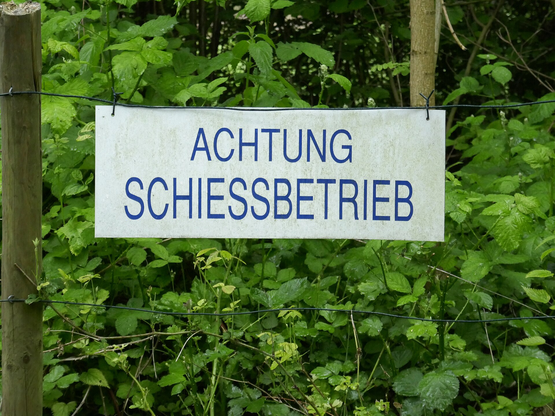 Schütze mit Gehörschutz auf dem Schießstand