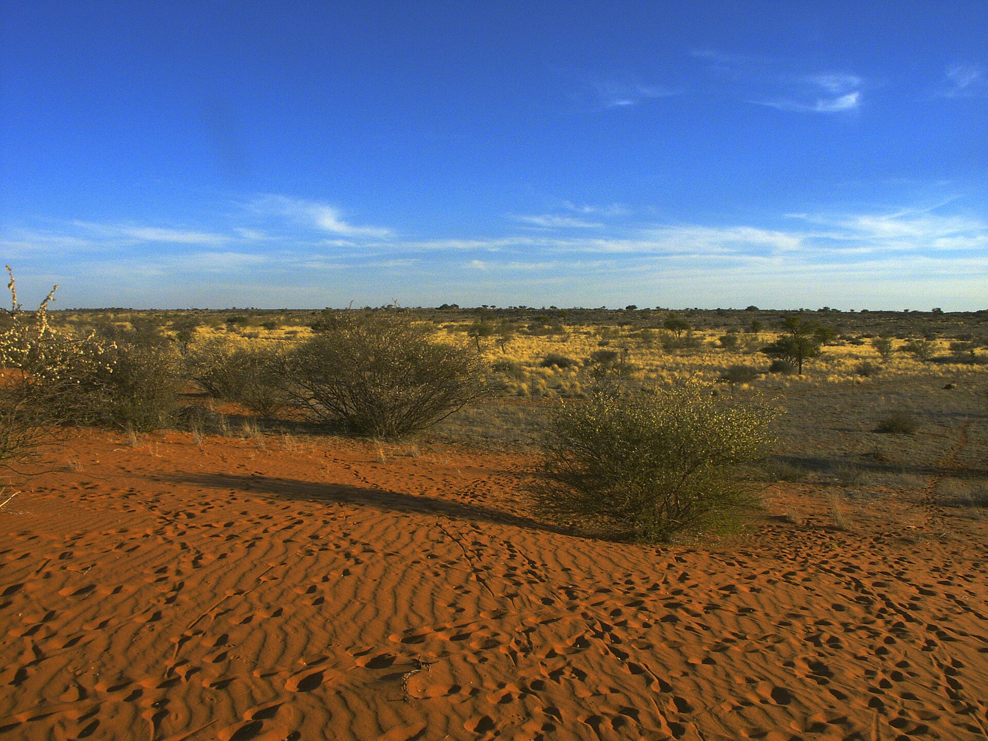 Landschaft und Jagdhabitat in Kalahari & Waterberg