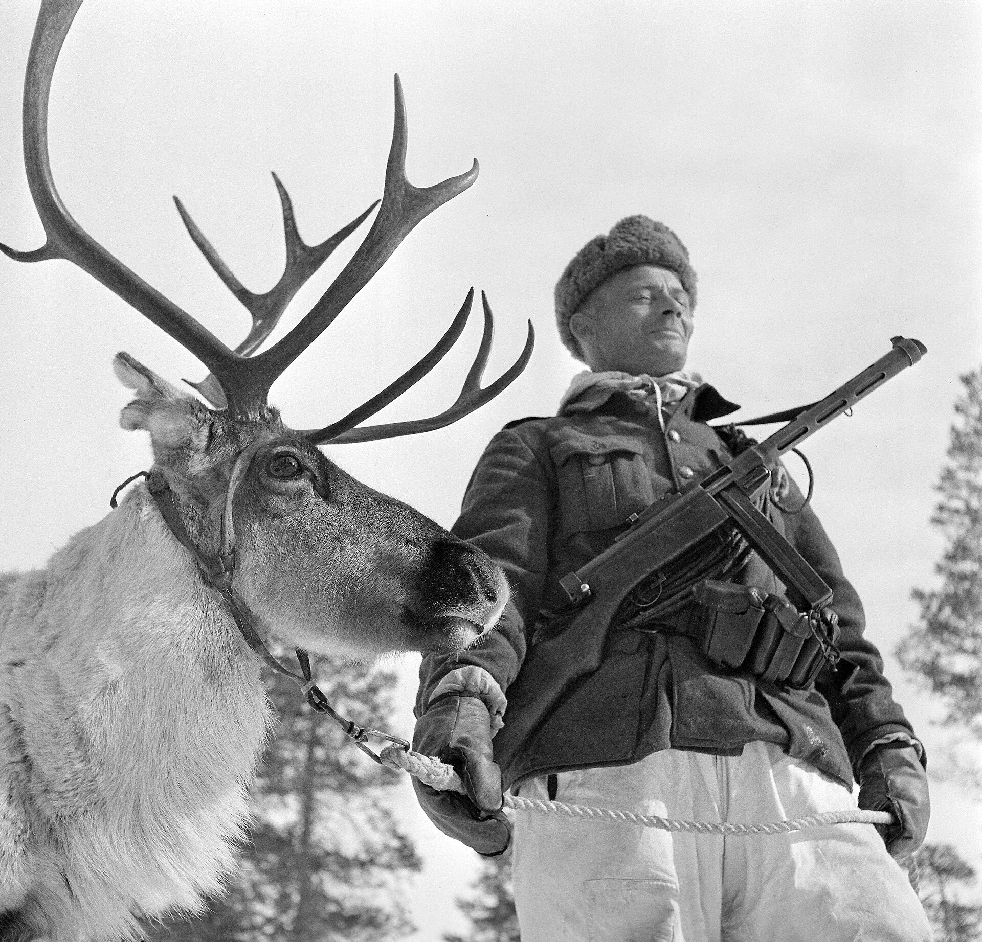 Warriors of Lapland (translation by Manelolo )