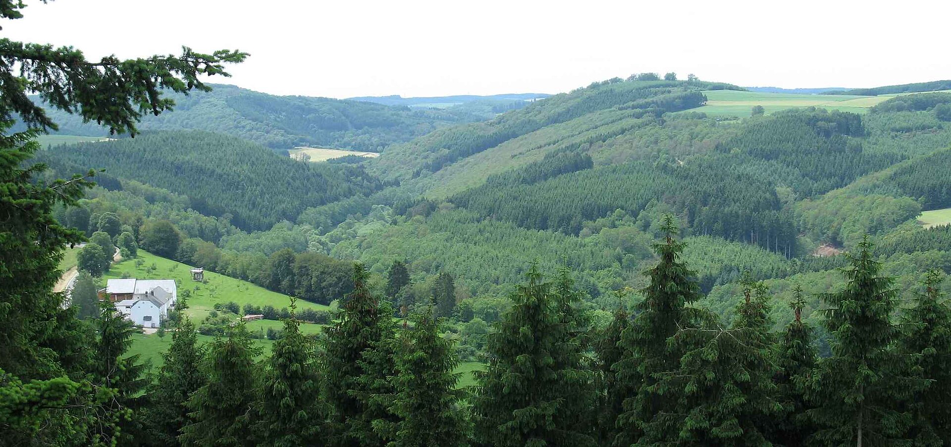 Landschaft in Luxemburg