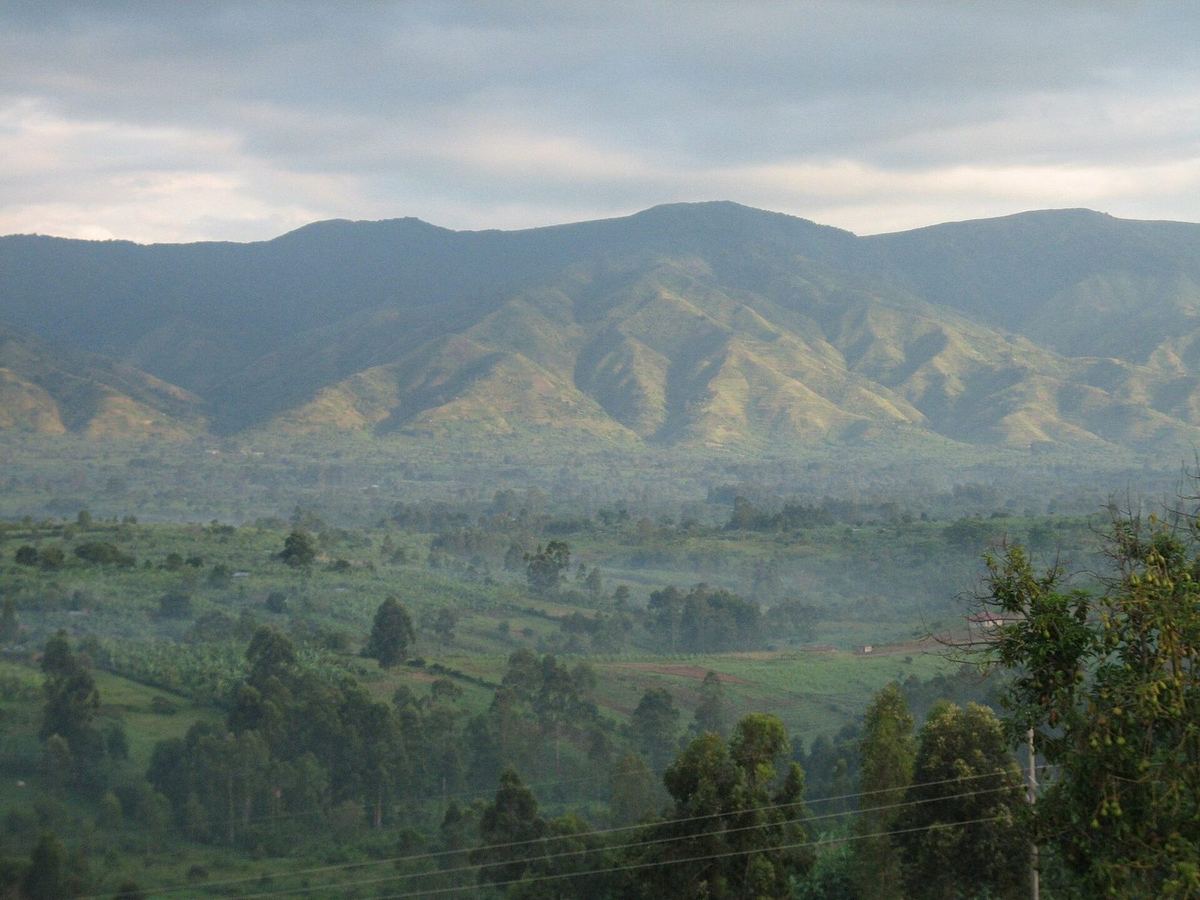 Ruwenzori-Gebirge und Westlicher Grabenbruch am Morgen, Uganda
