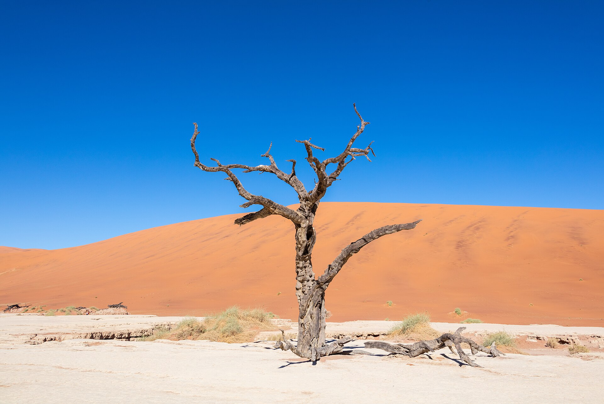 Landschaft in Namibia