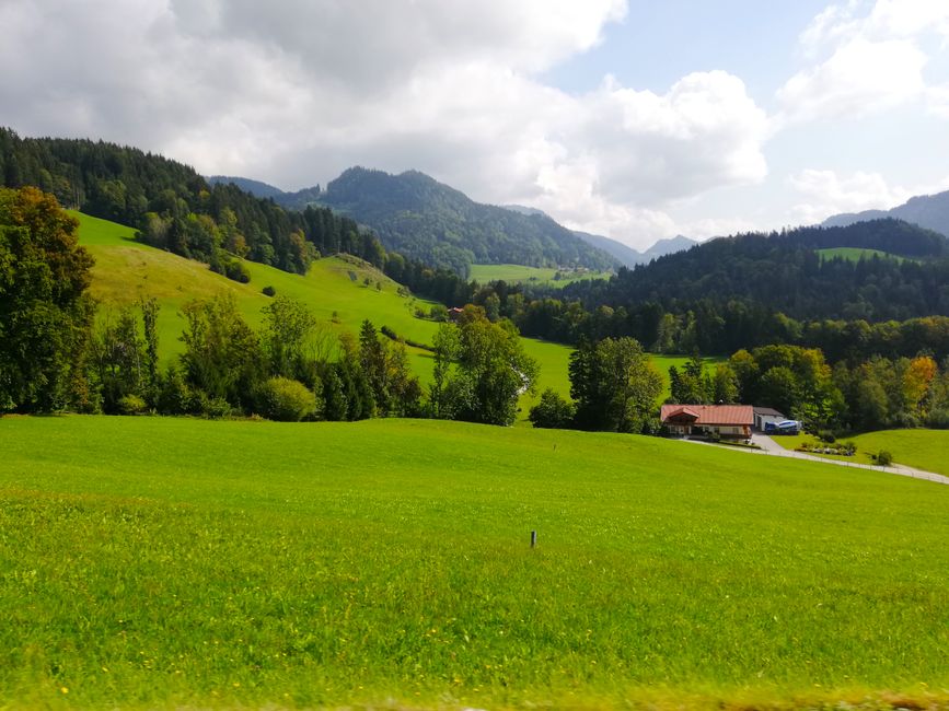 Flachland & Auwälder (Niederösterreich, Burgenland, Oberösterreich)