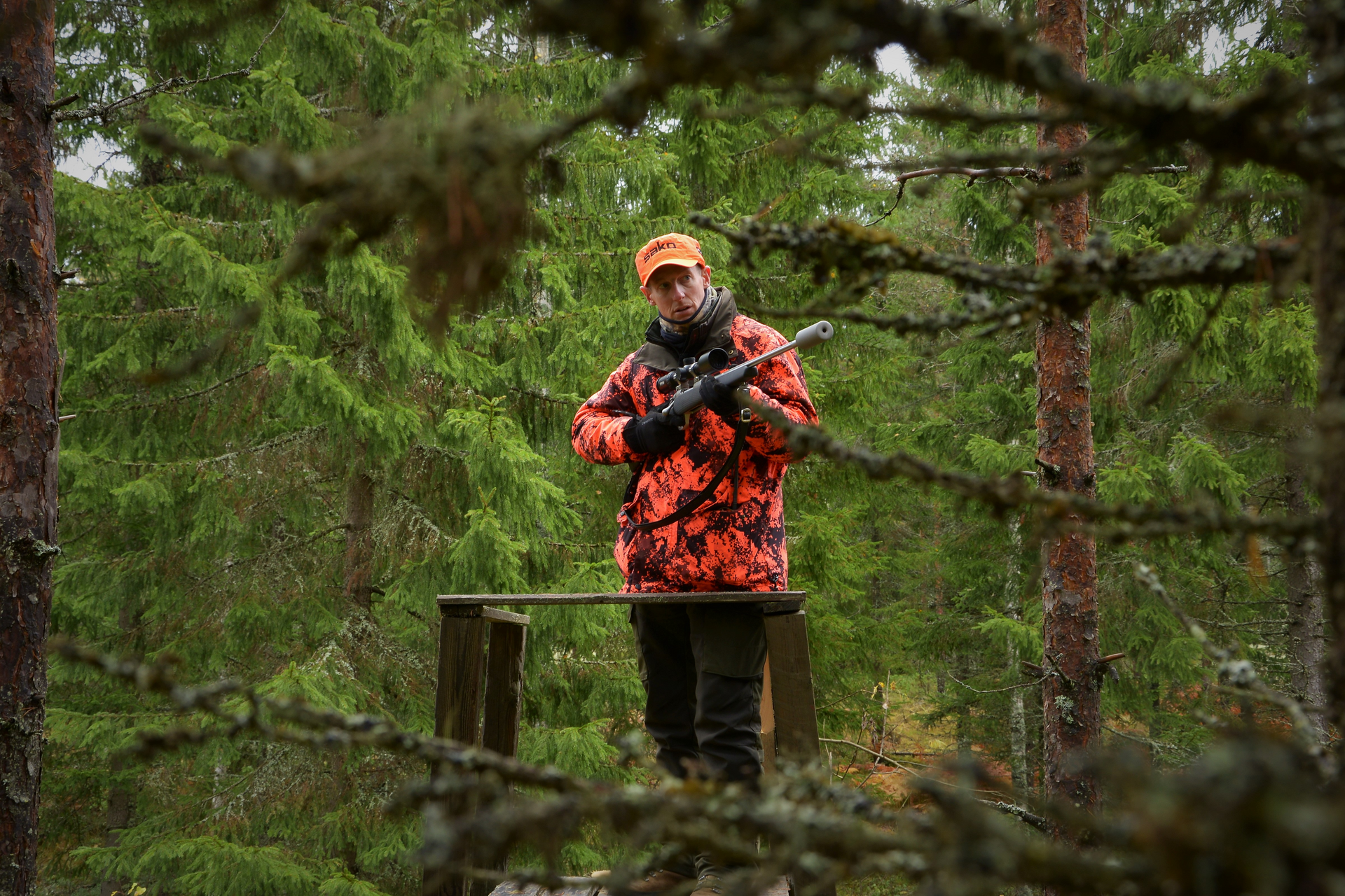 Bergen und Transportieren von Wild